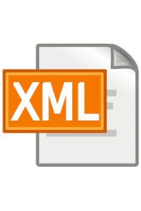 xml data hizmetleri 1 YILLIK paket